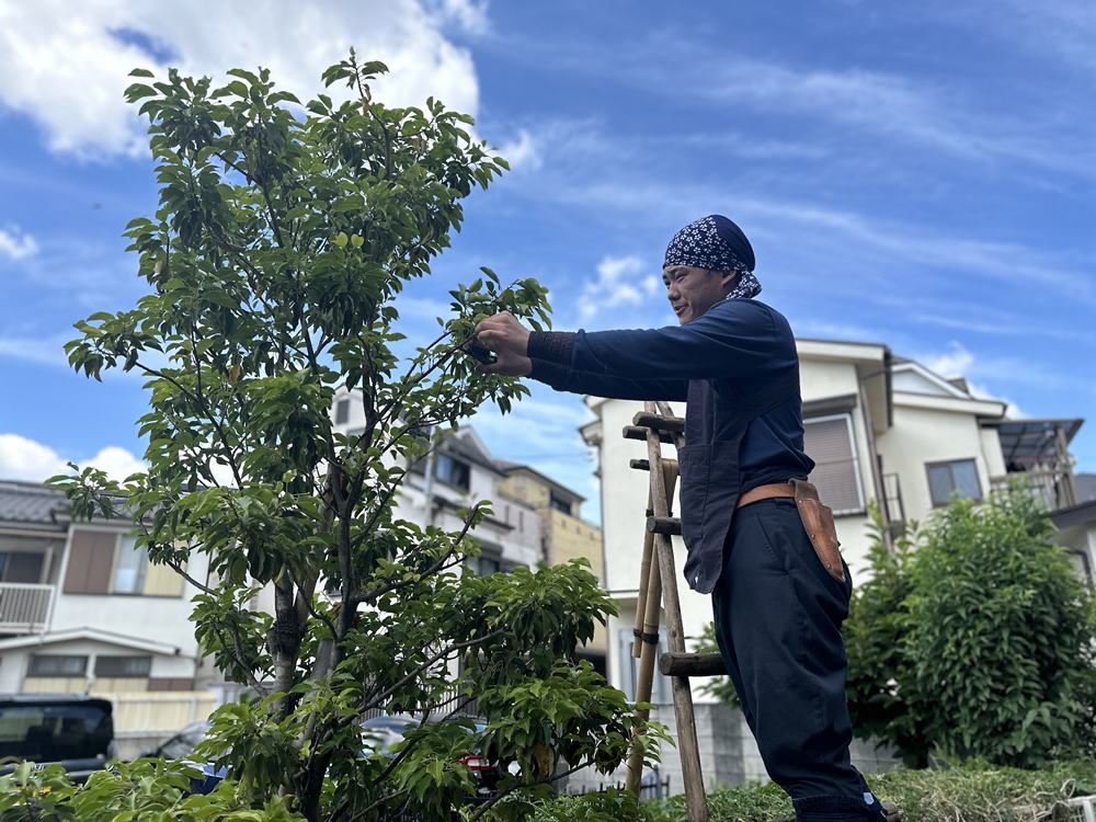 川崎市植木職人求人情報｜株式会社小林植木