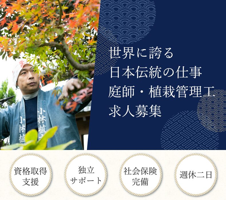 川崎市庭師・植栽管理工求人募集｜株式会社小林植木