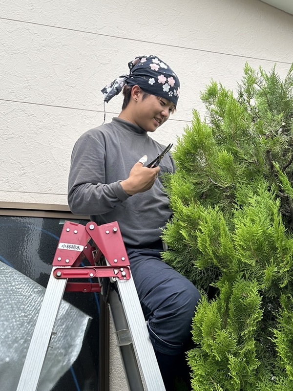 川崎市植木職人求人情報|株式会社小林植木