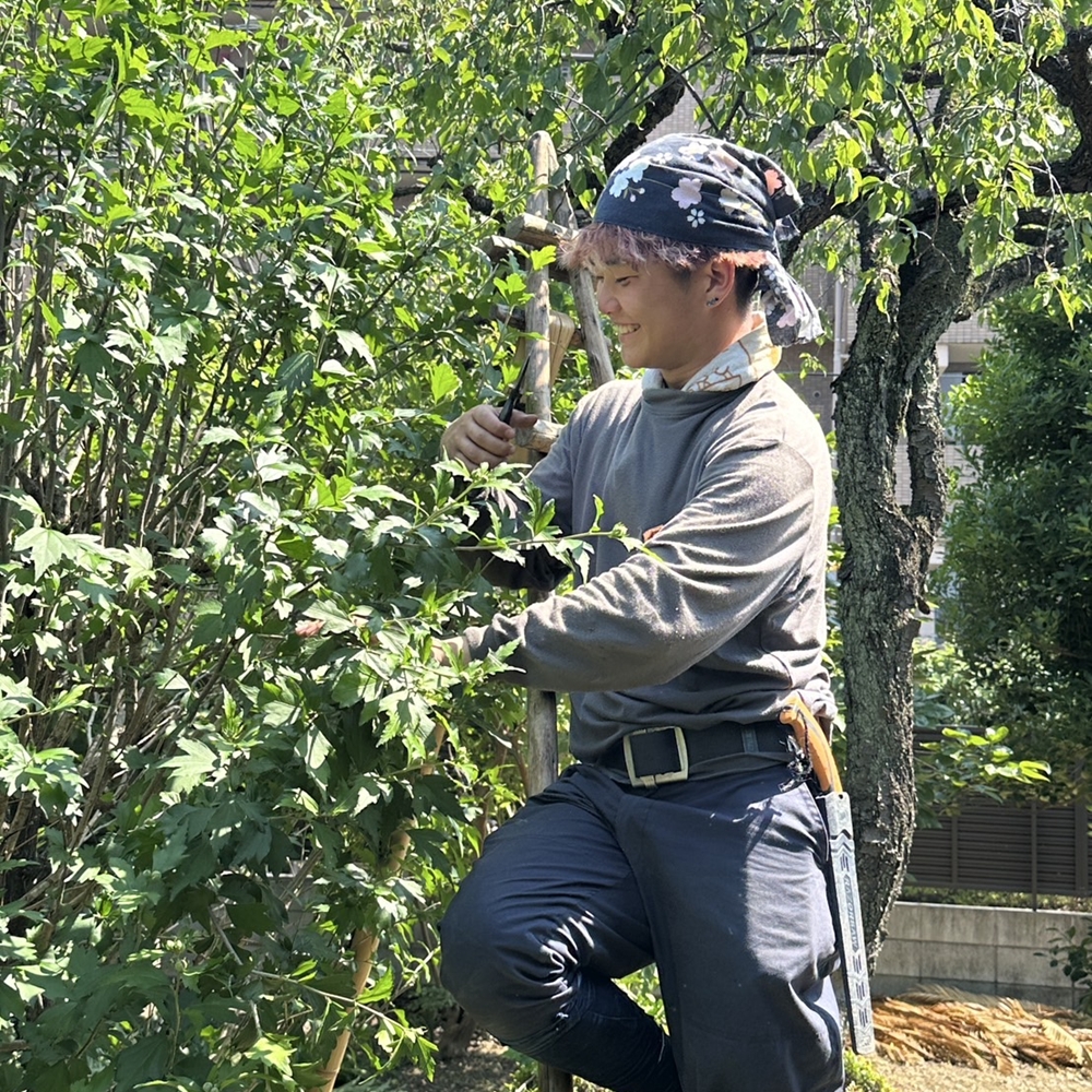 川崎市庭師・植栽管理工求人募集|株式会社小林植木